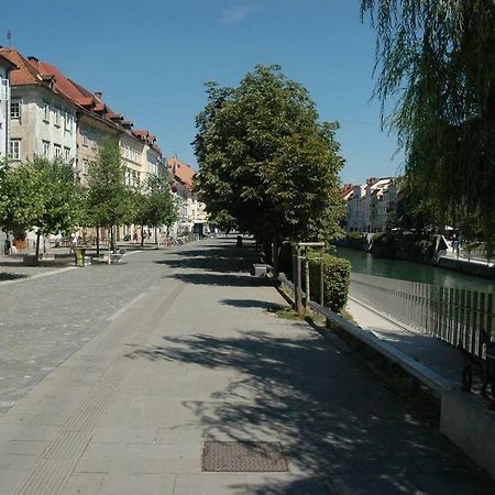 לובליאנה Vitez Apartment II מראה חיצוני תמונה