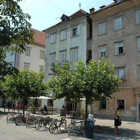 לובליאנה Vitez Apartment II מראה חיצוני תמונה