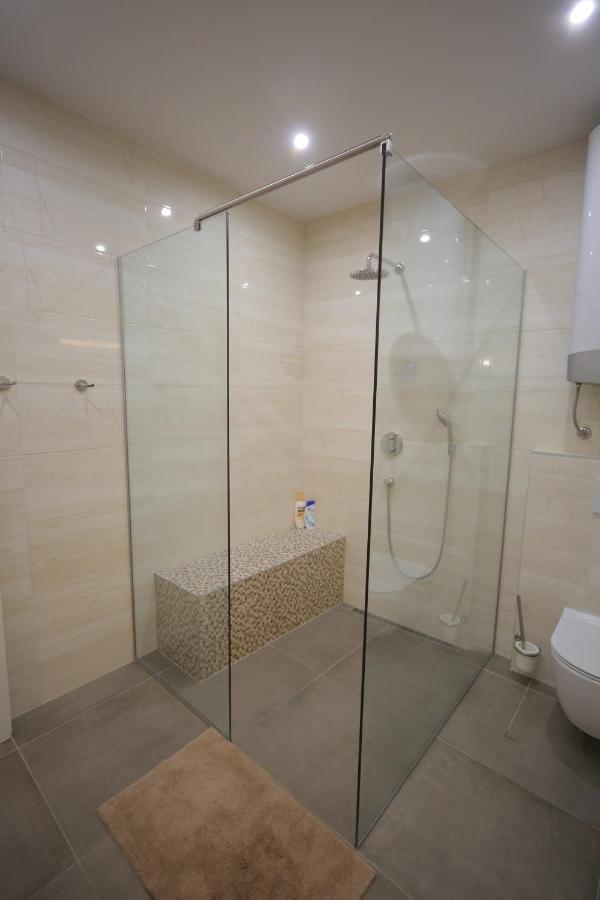 לובליאנה Vitez Apartment II מראה חיצוני תמונה