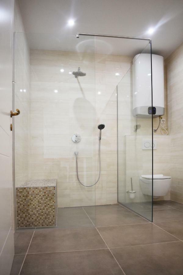 לובליאנה Vitez Apartment II מראה חיצוני תמונה
