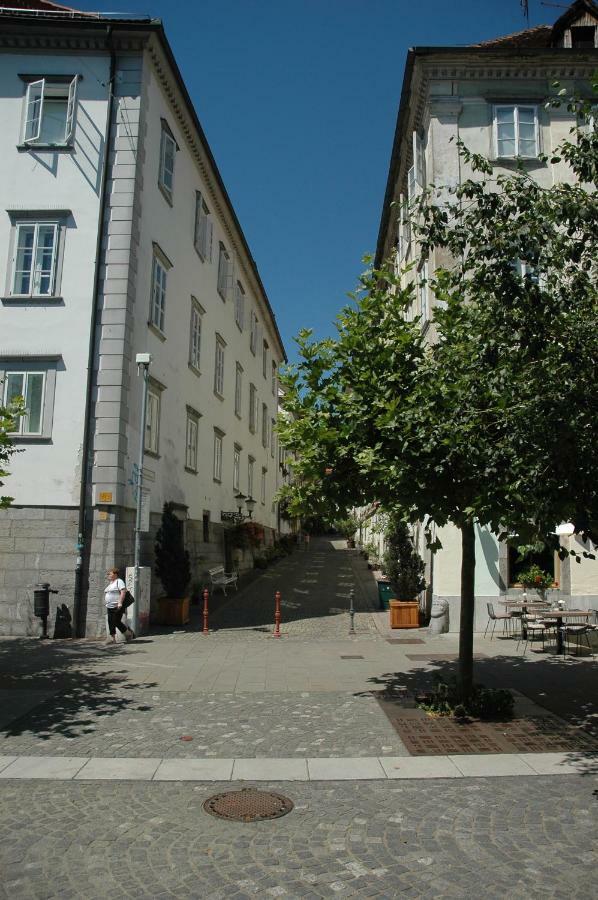 לובליאנה Vitez Apartment II מראה חיצוני תמונה