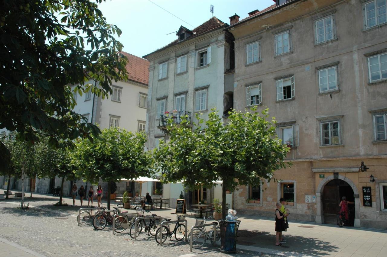 לובליאנה Vitez Apartment II מראה חיצוני תמונה